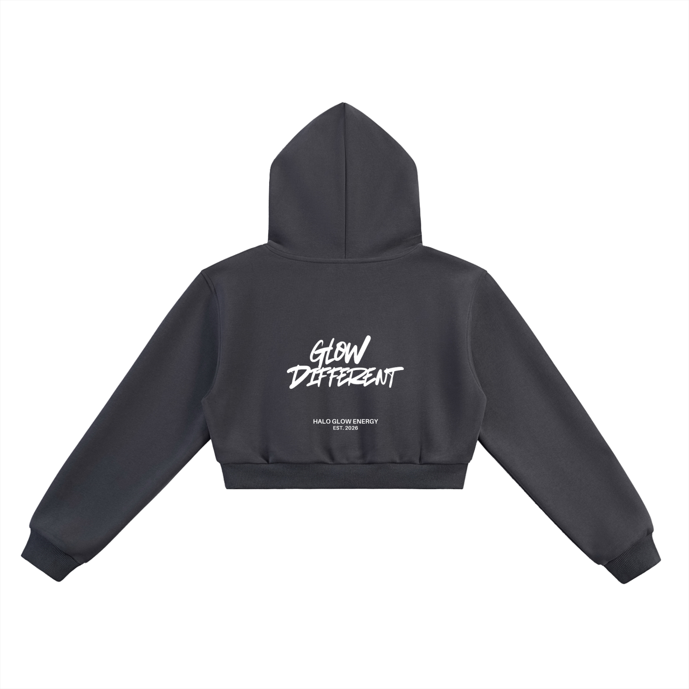 Halo Barbell Cropped Hoodie