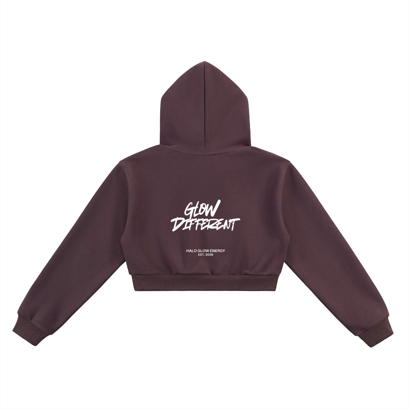 Halo Barbell Cropped Hoodie